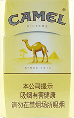 骆驼(硬)新版
